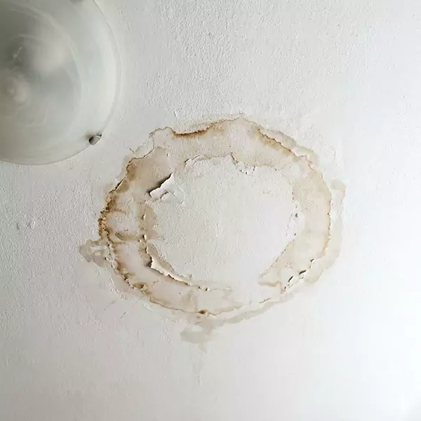 Leaking Ceiling Repair in Boise City, ID 