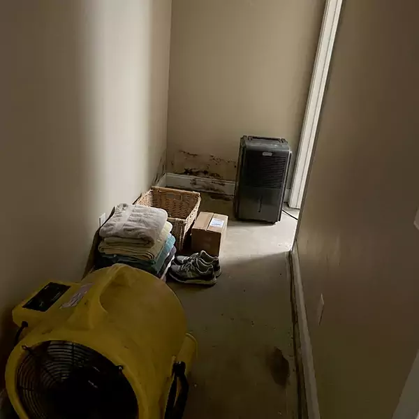 Expert Water Remediation in Boise City, ID 