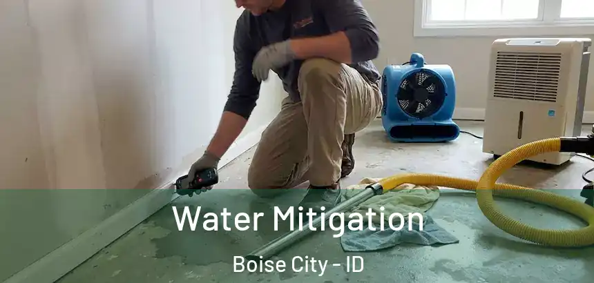  Water Mitigation Boise City - ID